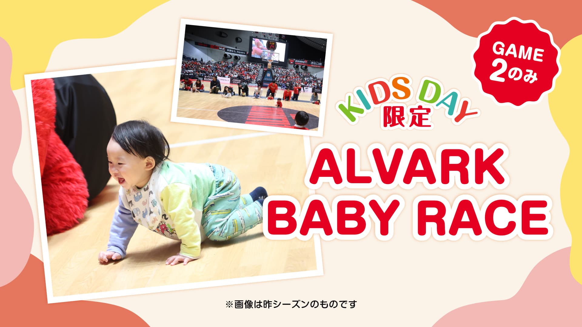 【KIDSDAY】ALVARK BABY RACE
