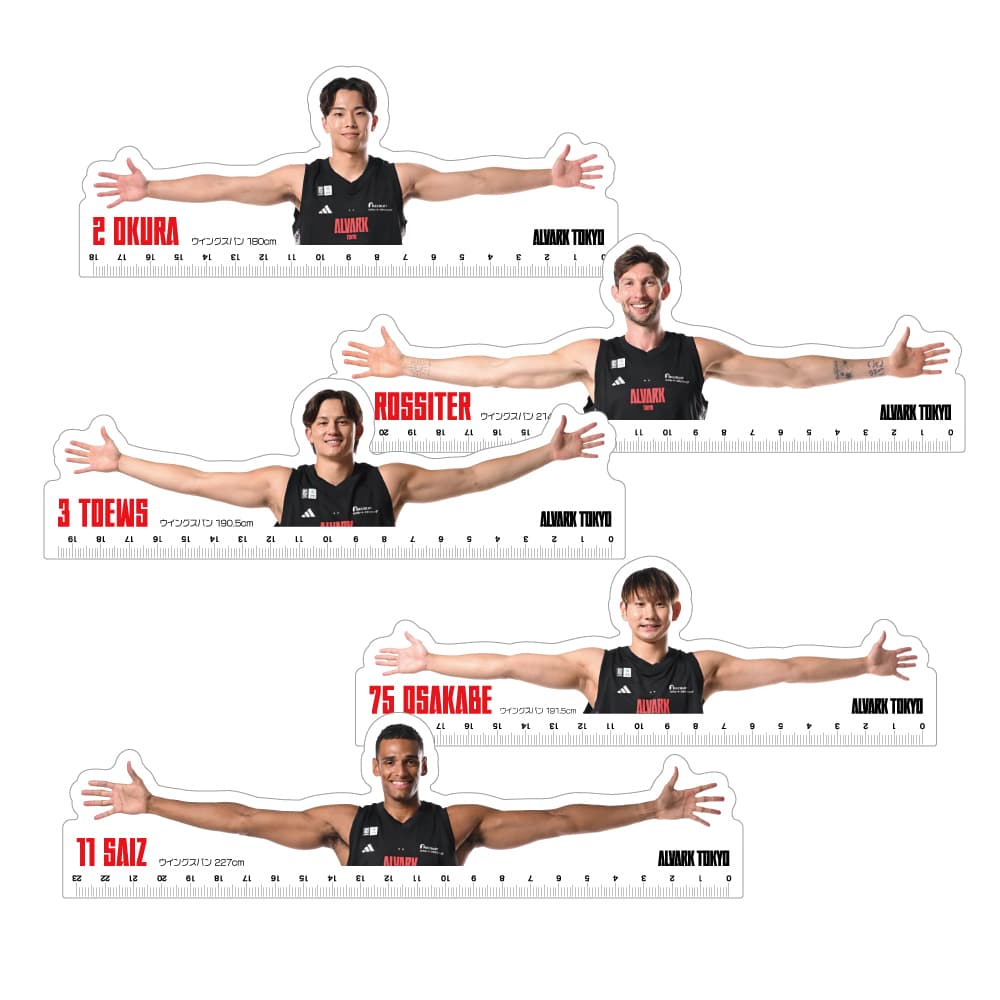 ウィングスパン定規