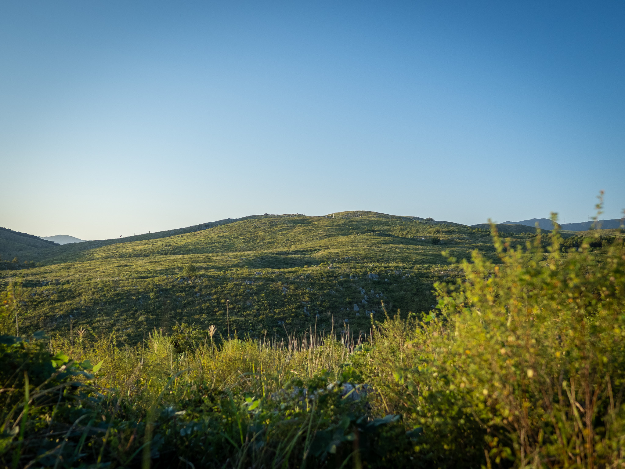 秋吉台――時間をかけて変化を続ける壮大な自然のシステム
