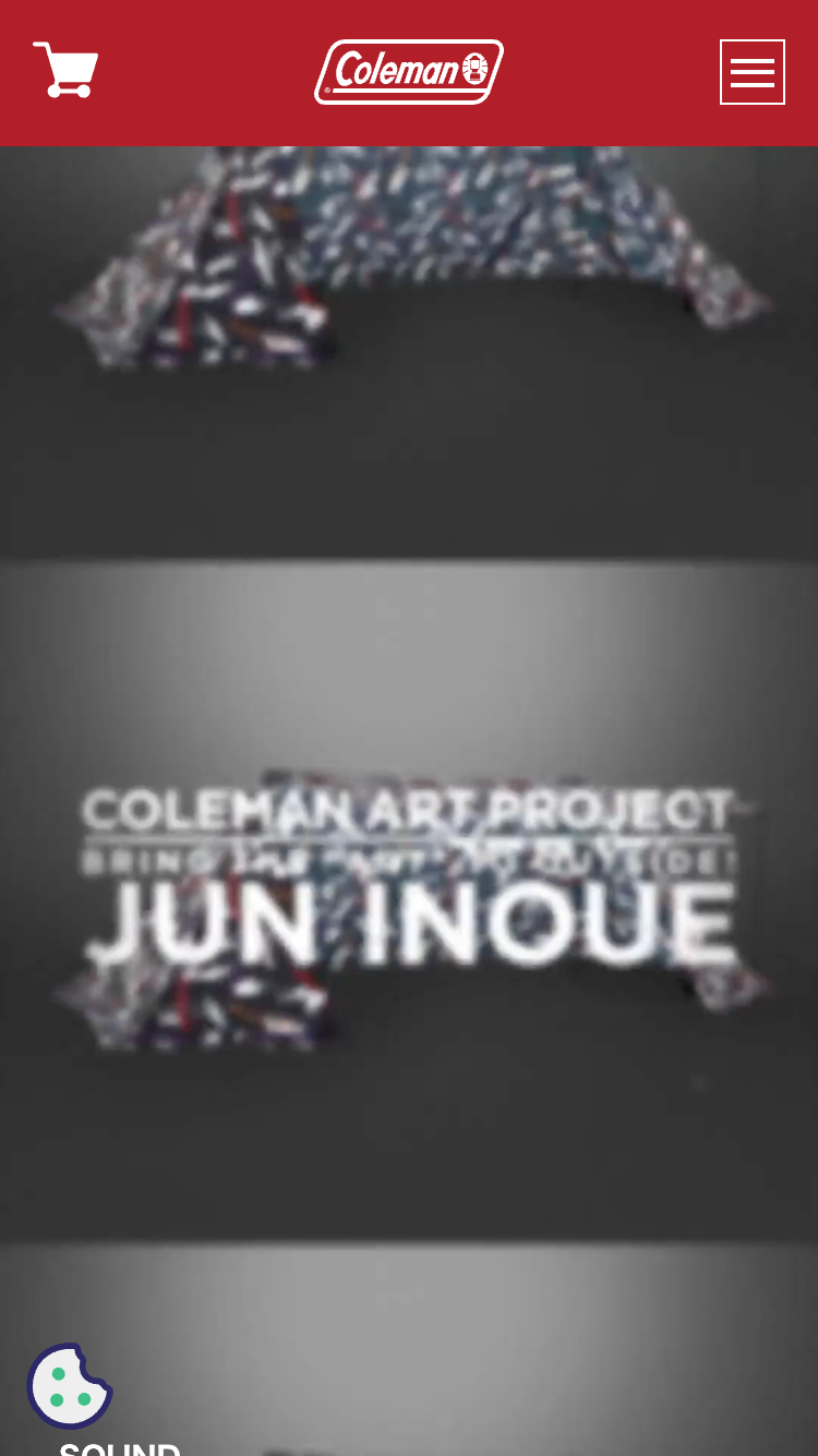 JUN INOUE COLEMAN ART PROJECT