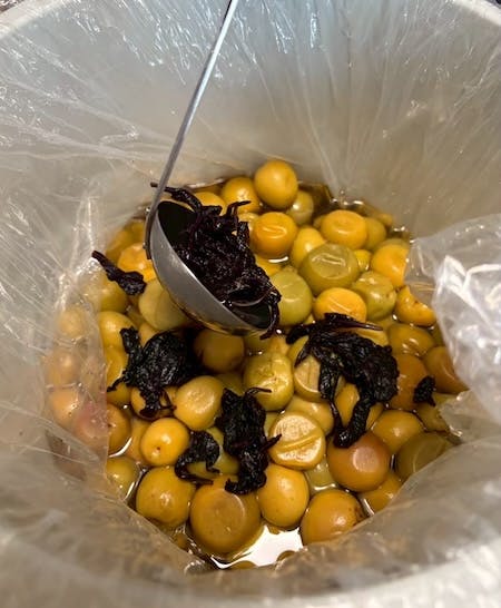 梅の塩漬けの上に赤紫蘇の葉を敷き詰める