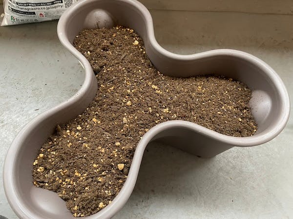 ハーベリーポットに土を敷いた