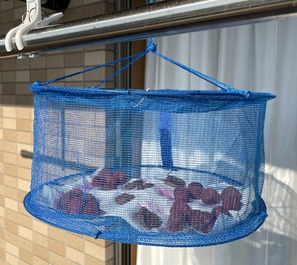 梅漬けの土用干し