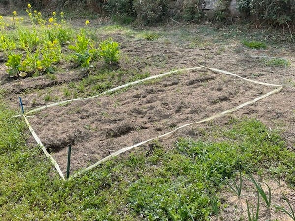 土地をビニールテープで区切っている写真