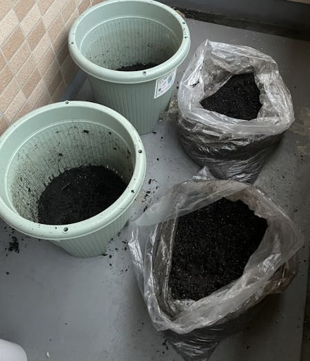 ふるいにかけ終えた土を消毒中