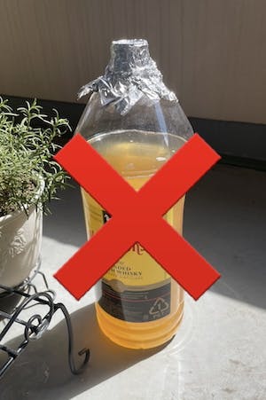 直射日光を避ける