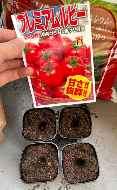 ミニトマトの品種「プレミアムルビー」の種