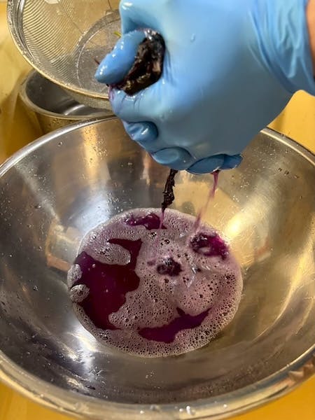 赤紫蘇を強く絞る