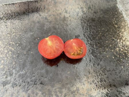 シュガーミニに包丁を入れて実食