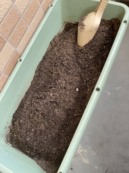 プランターに土を入れ、8-8-8化成を混ぜこんだ
