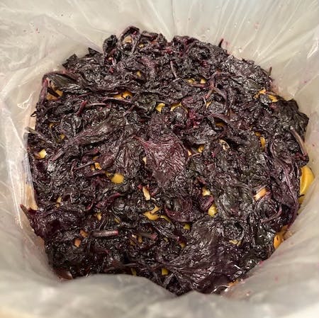 梅の塩漬けの上に赤紫蘇の葉を敷き詰め終えた