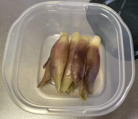 みょうがのぬか漬け