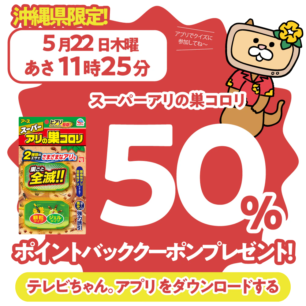 沖縄県限定！ドラッグイレブンで使えるクーポンがもらえるテレビ。