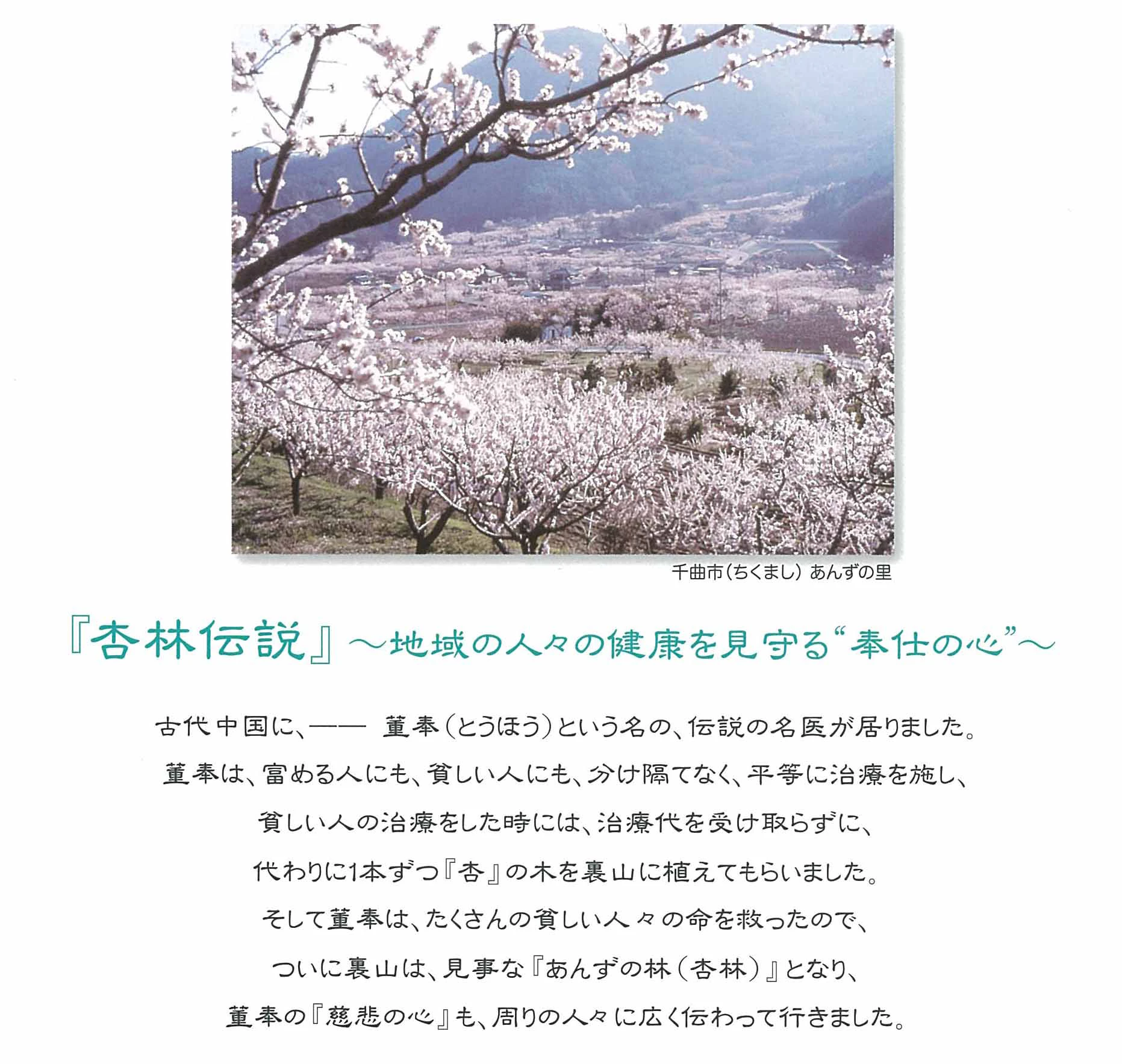 『杏林伝説』~地域の人々の健康を見守る”奉仕の心”~