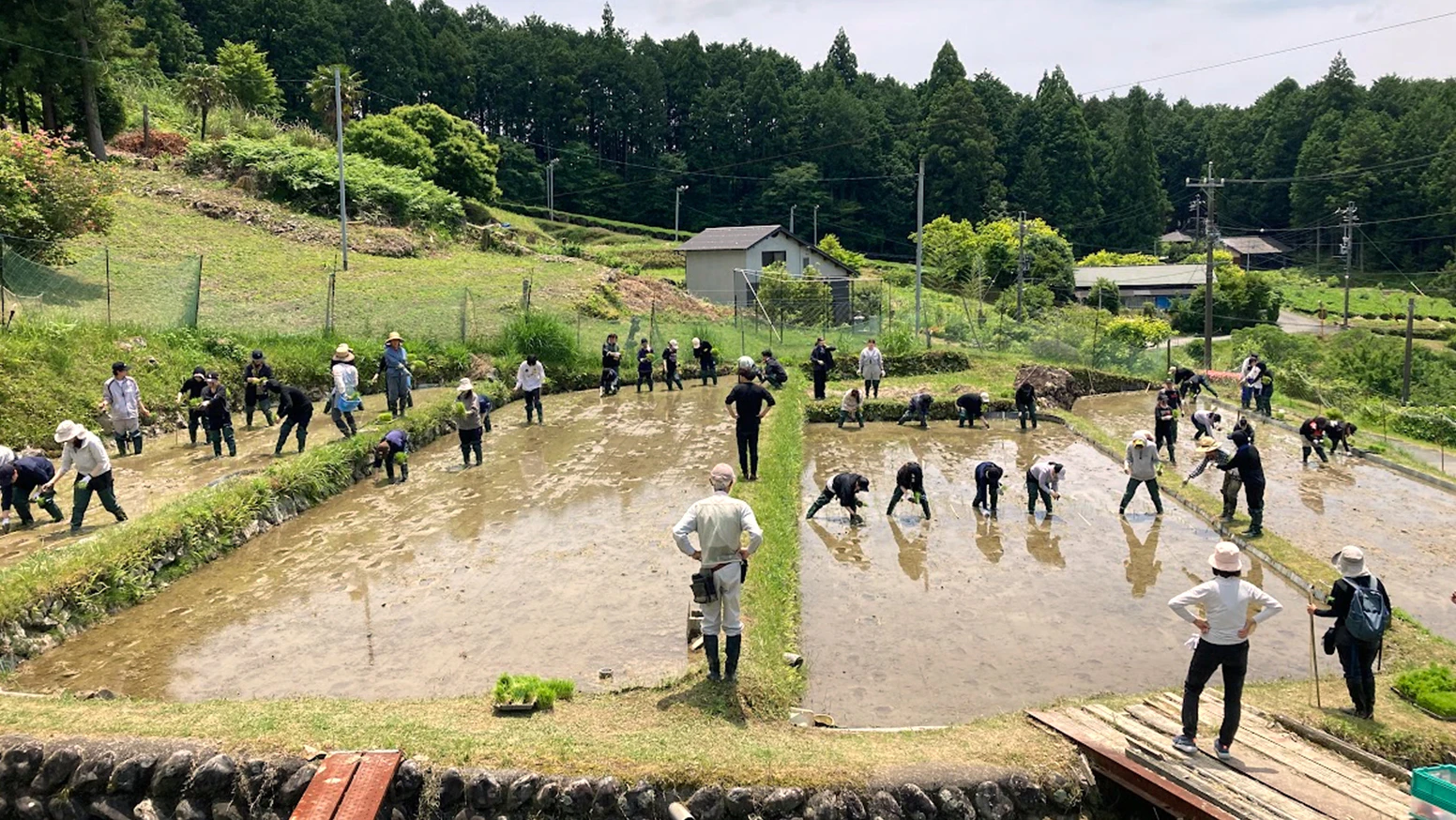 株式会社杏林堂薬局は今年度、浜松市天竜区大栗安の棚田保全プロジェクトを開始しました。大栗安の棚田は、農林水産省が選ぶ「日本の棚田百選」にも認定されています。棚田の保全活動を通じて、新入社員のチームビルディング研修を行うこととし、2026年5月26日(火)に、地元農家の皆様にご指導いただきながら「田植え」を実施いたしました。