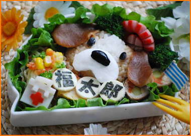 ふくちゃんのお薬だよ弁当