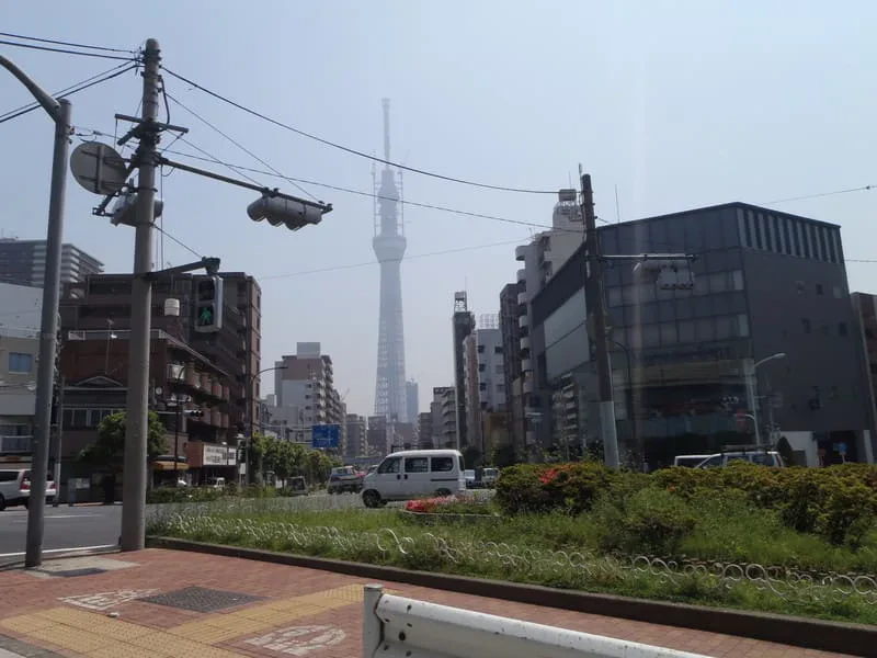 P5190011