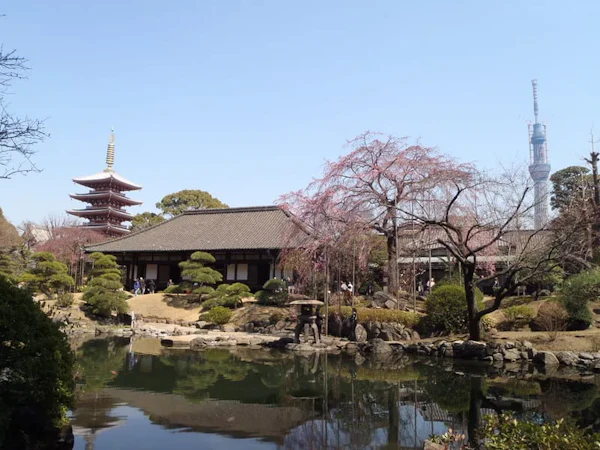 スカイツリーと伝法院