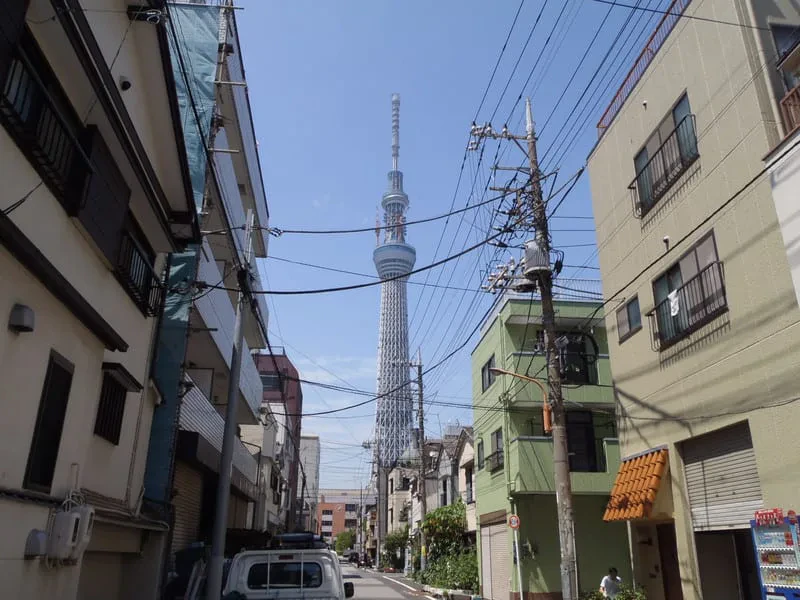 P6280002
