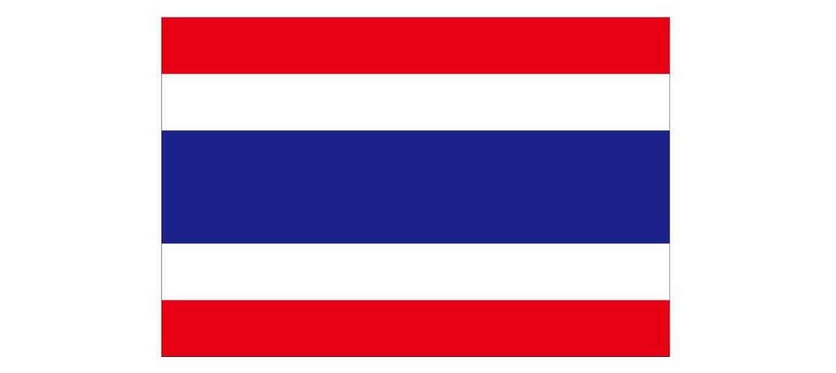 【限定登録期間（年内最後）】セカンドレベル「.th」の第3弾の申請受付のご案内