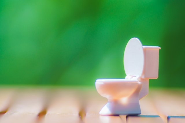 今日は世界トイレの日！商標から「トイレ」を見たとき新規参入の影が見えてきた