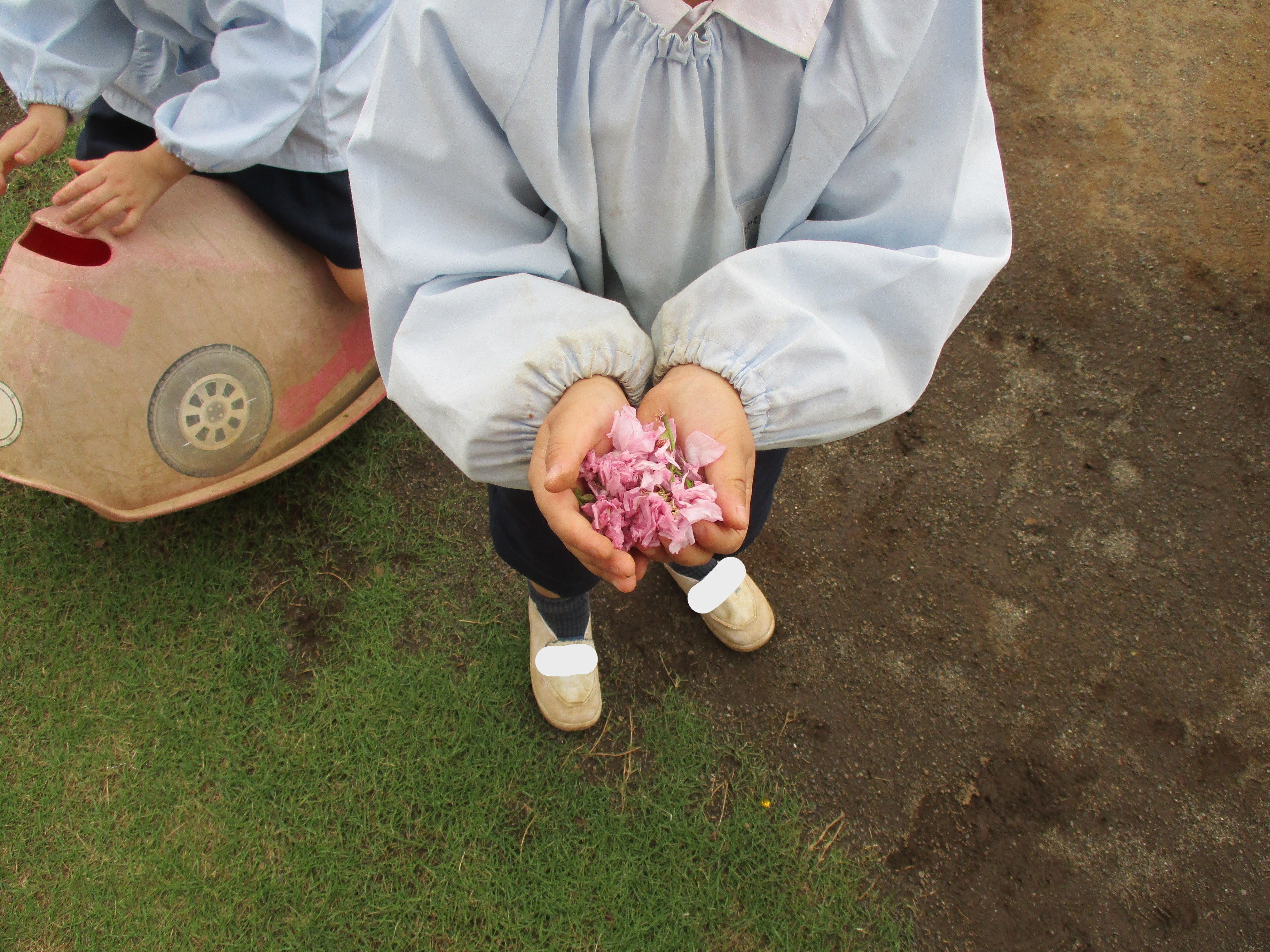 ブログサムネイル