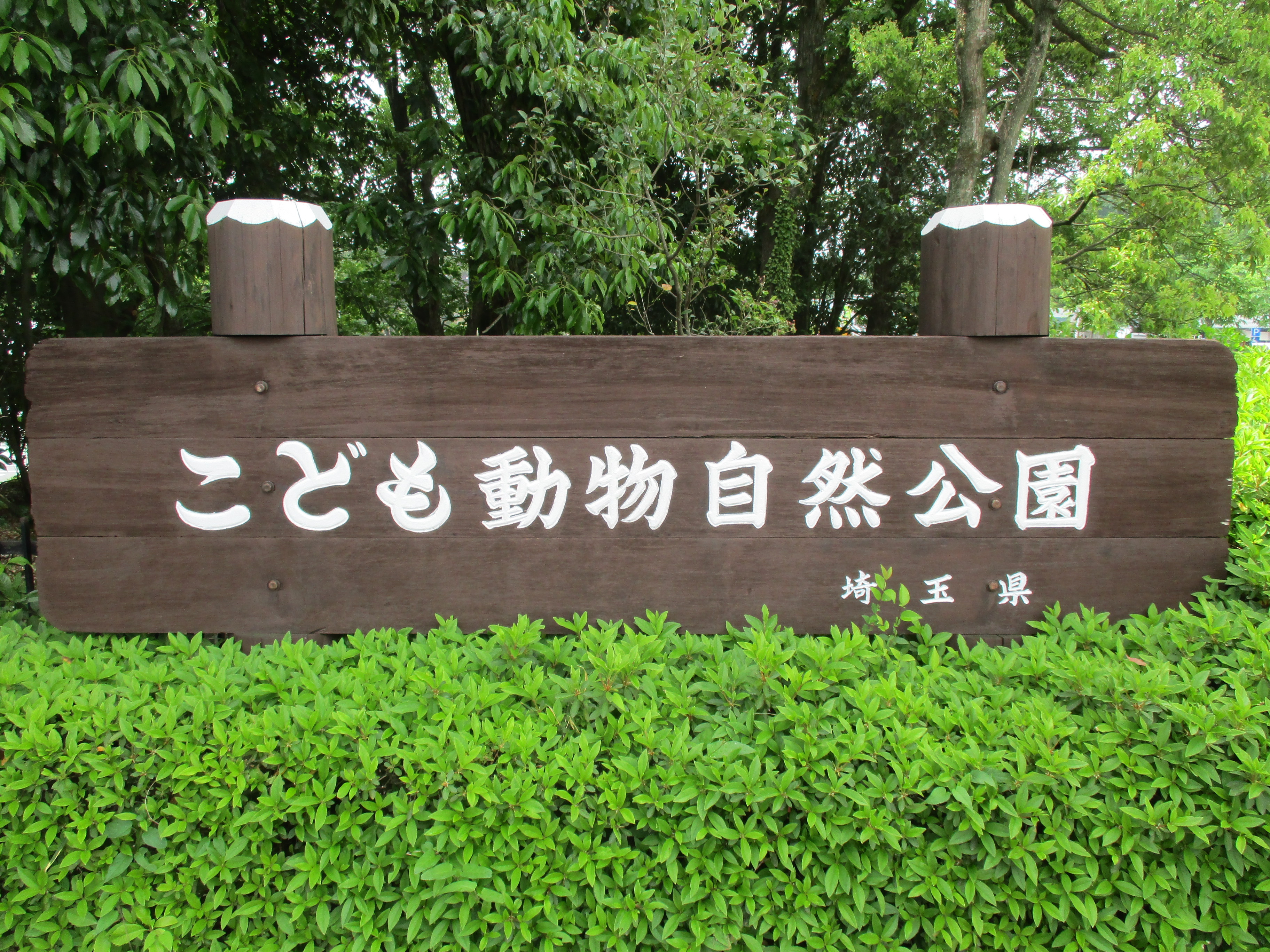 ブログ写真