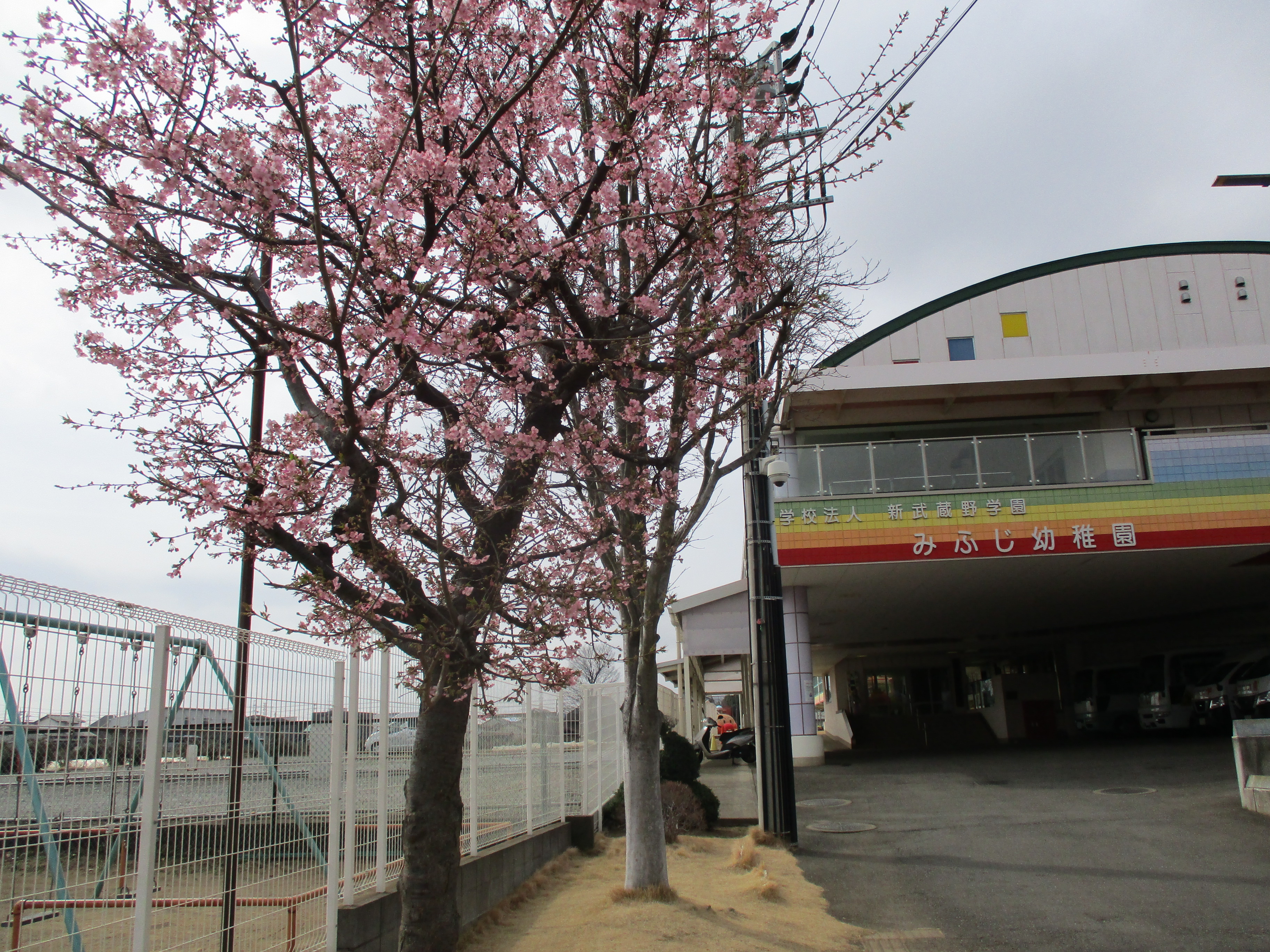 ブログサムネイル