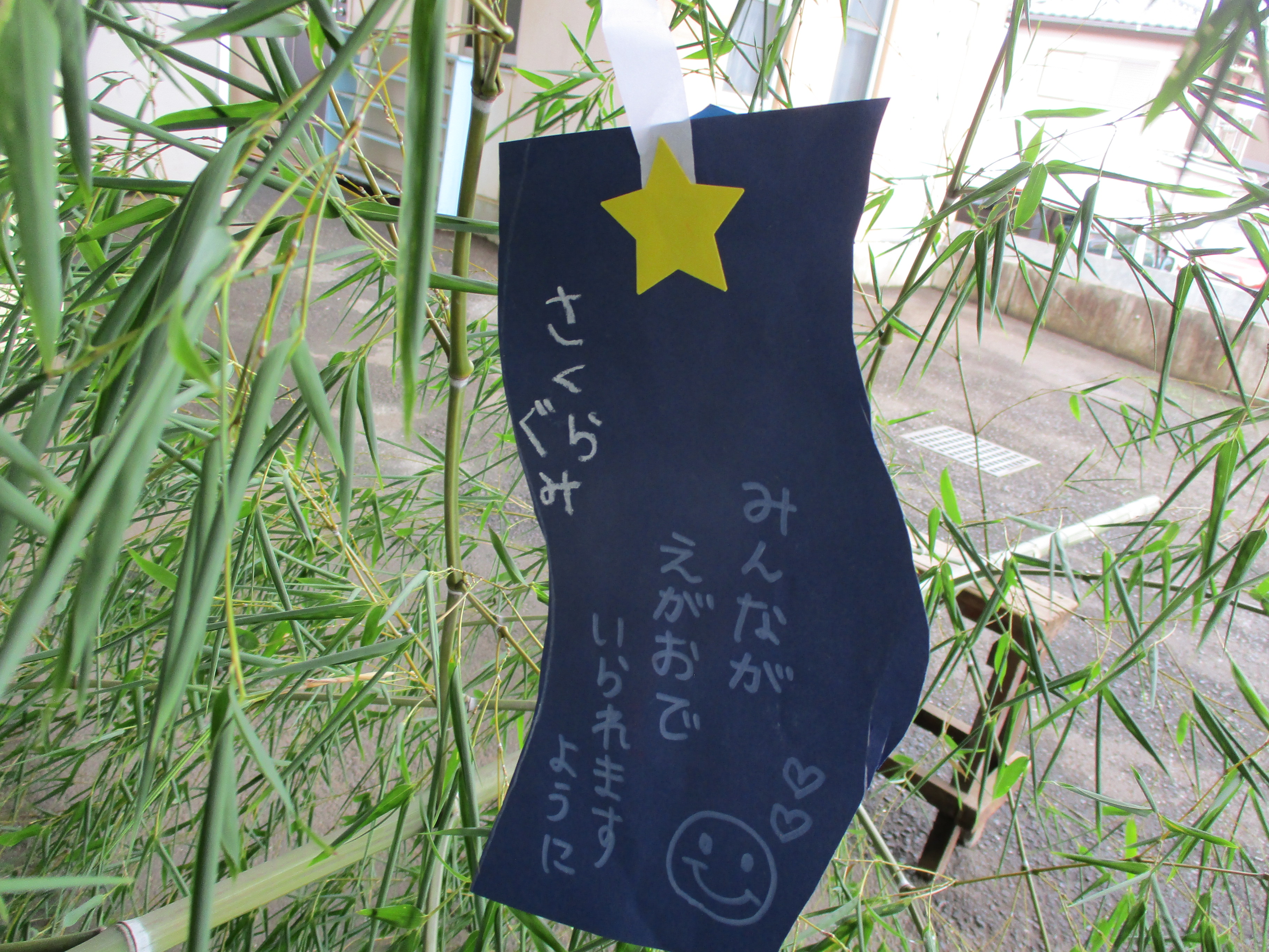ブログ写真