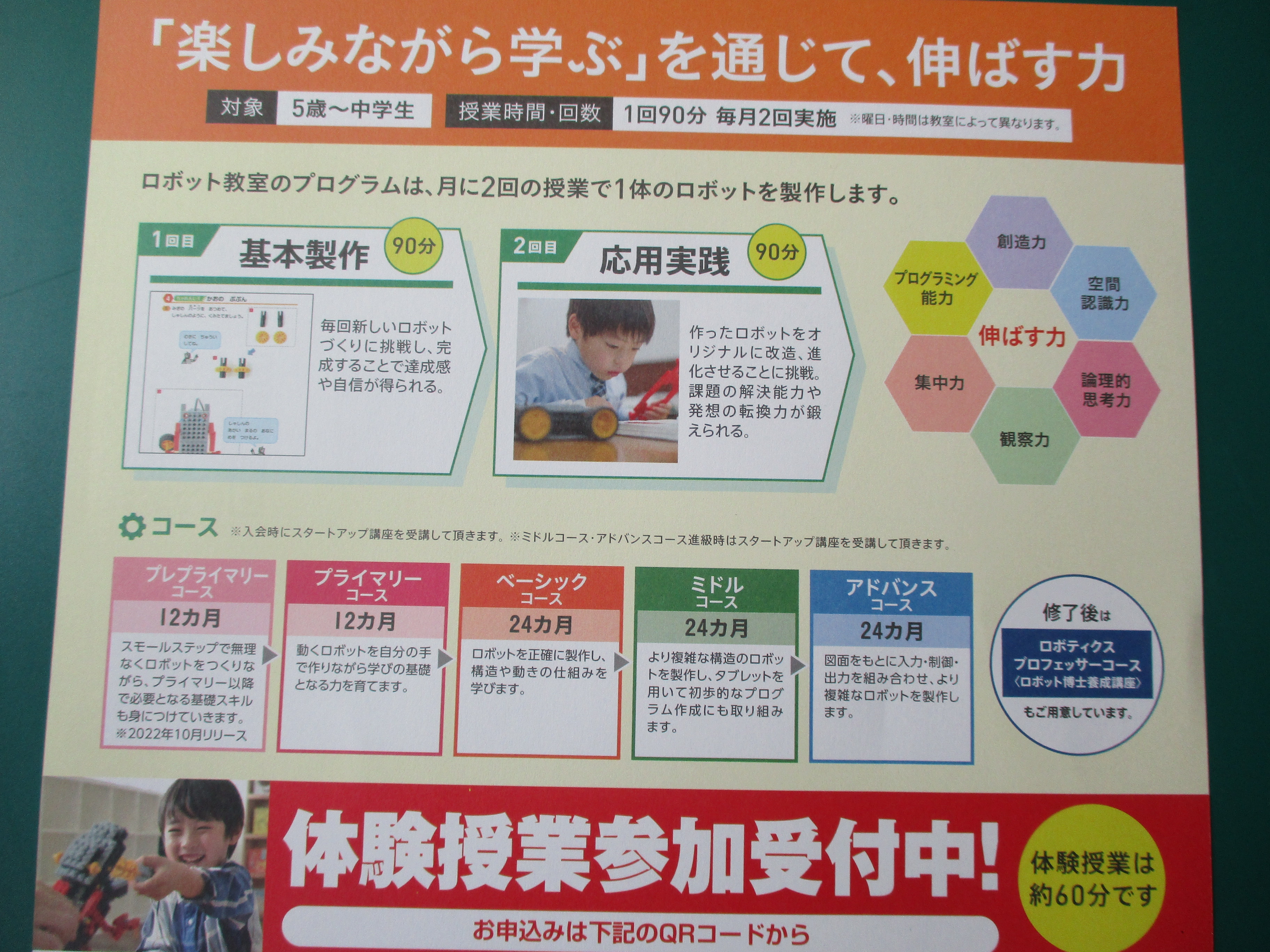 ブログ写真