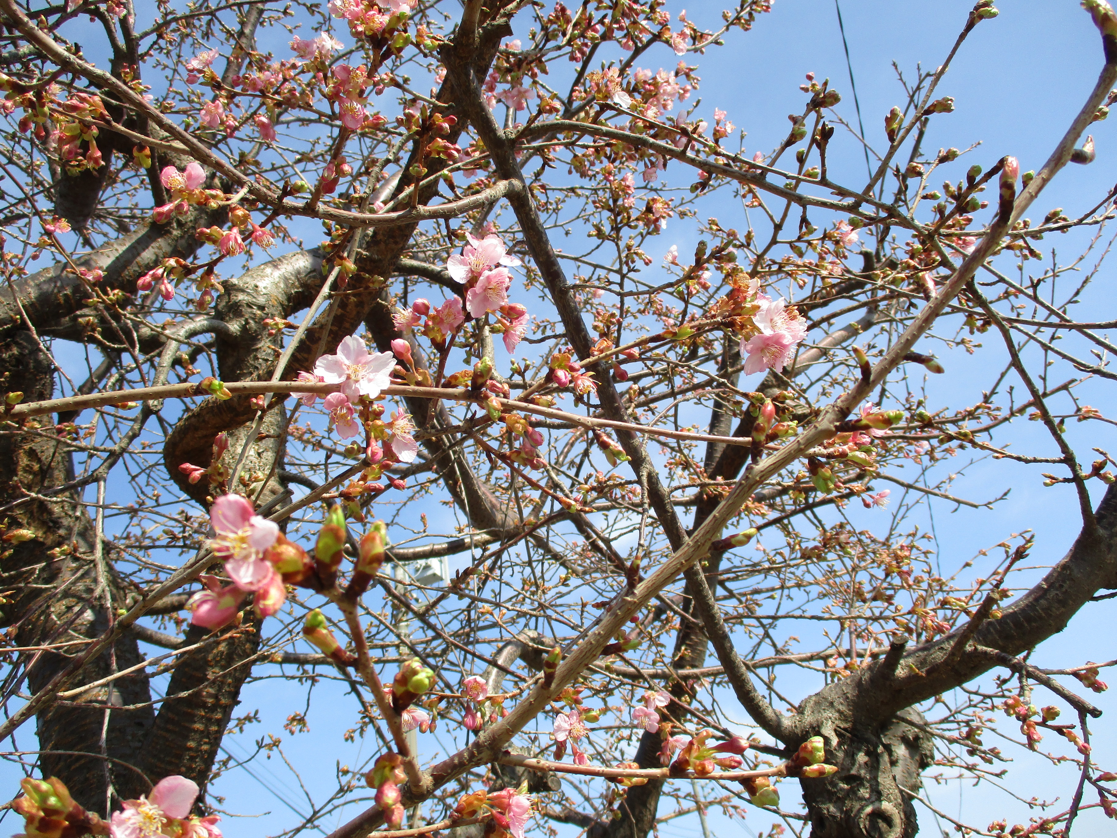 ブログサムネイル