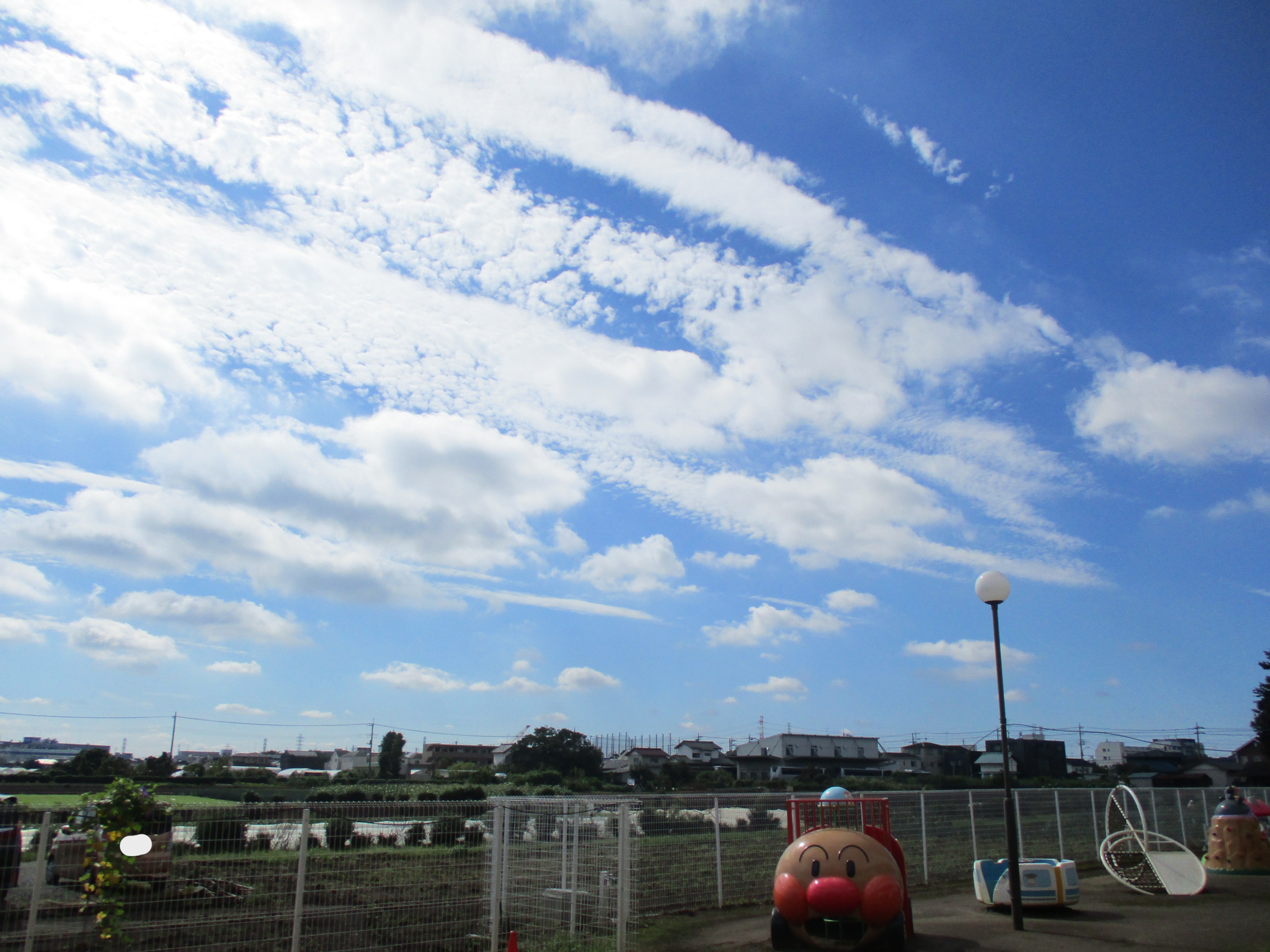 ブログ写真