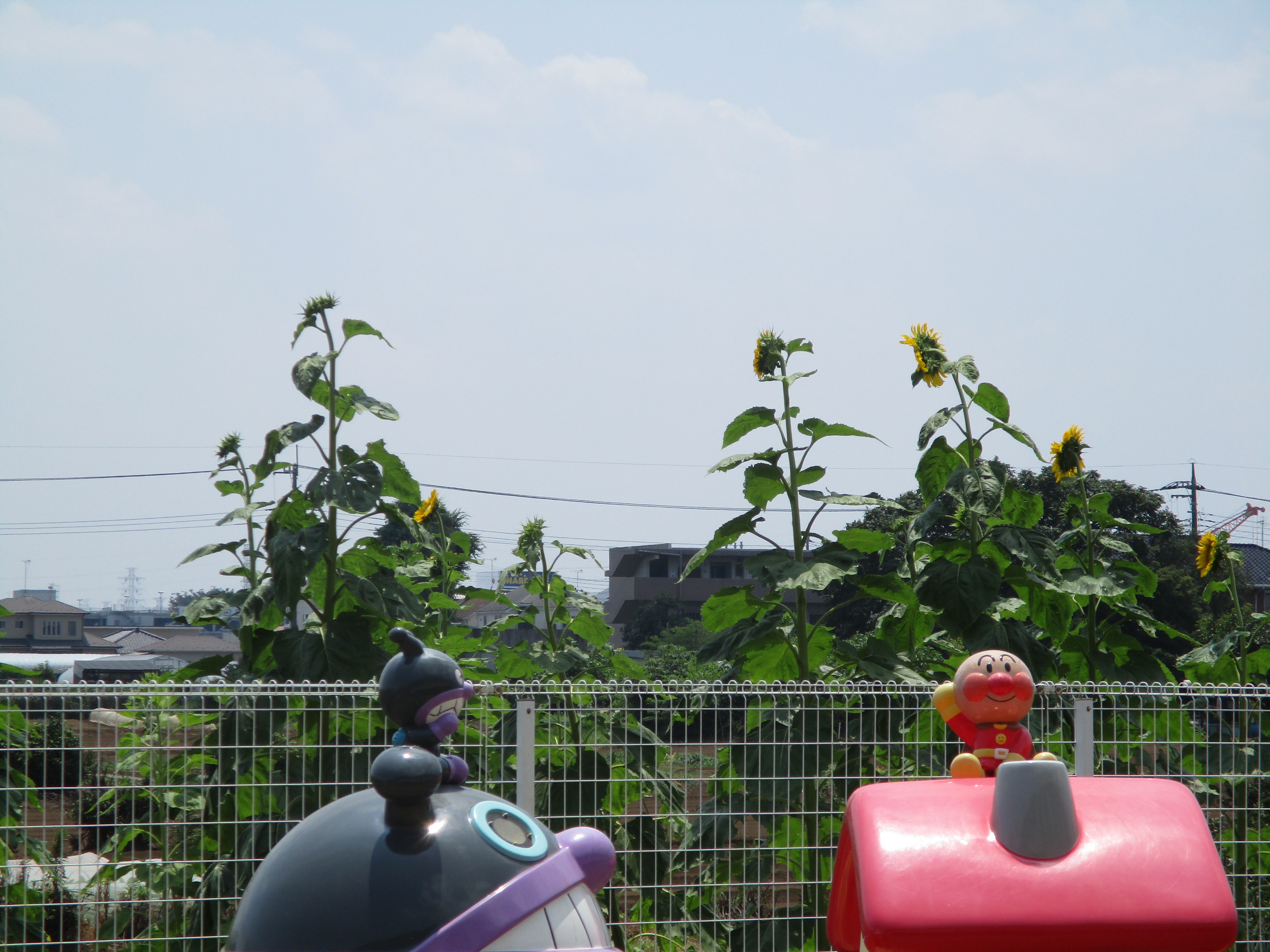 ブログ写真