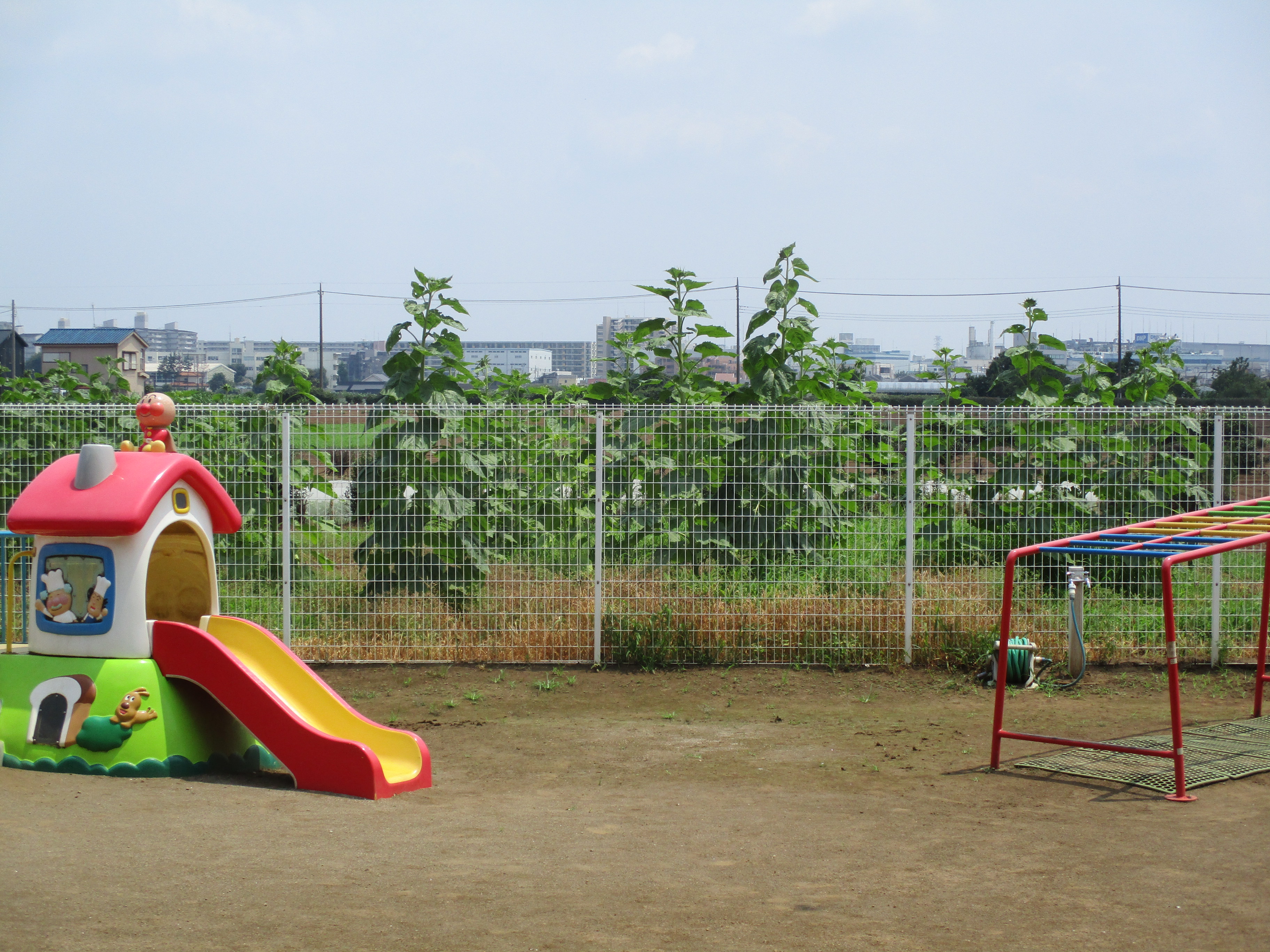 ブログ写真