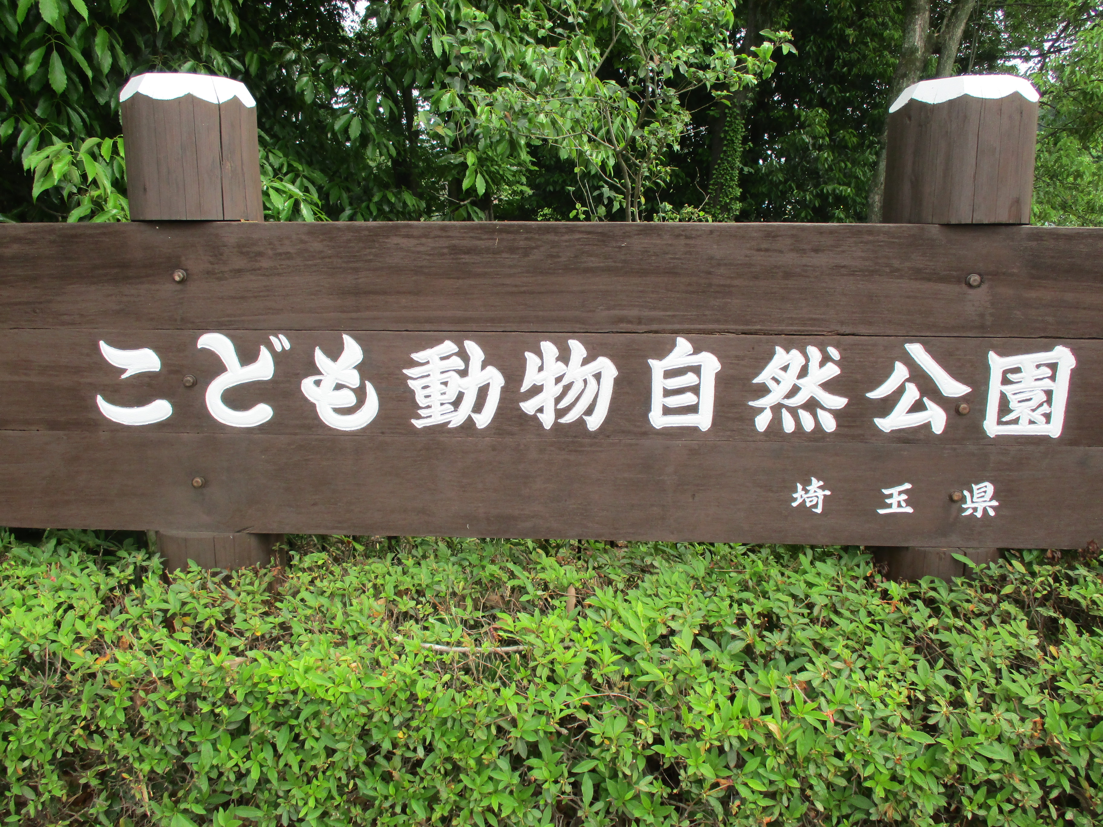 ブログ写真