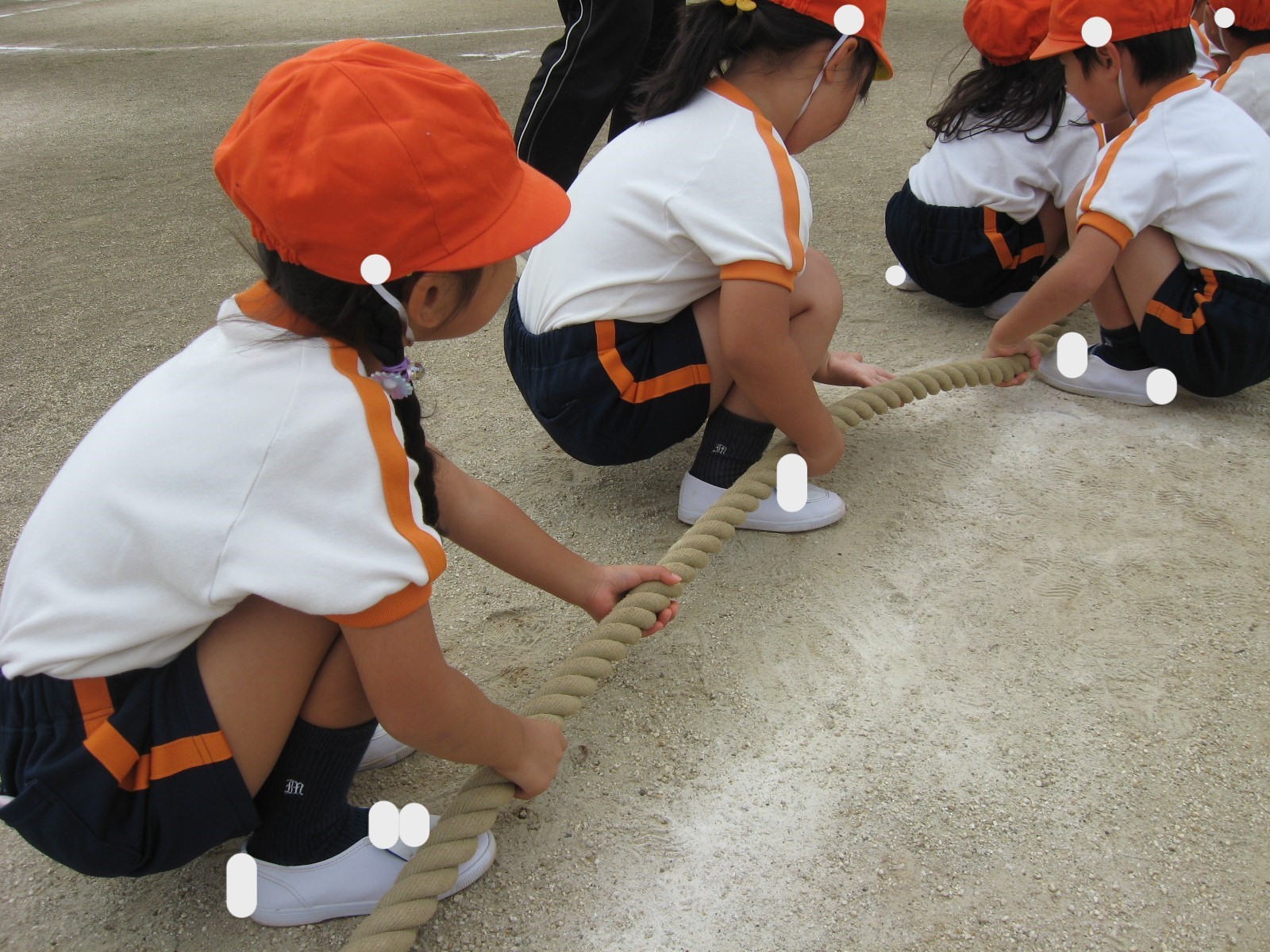 学校法人 新武蔵野学園みふじ幼稚園｜埼玉県入間郡三芳町の幼稚園