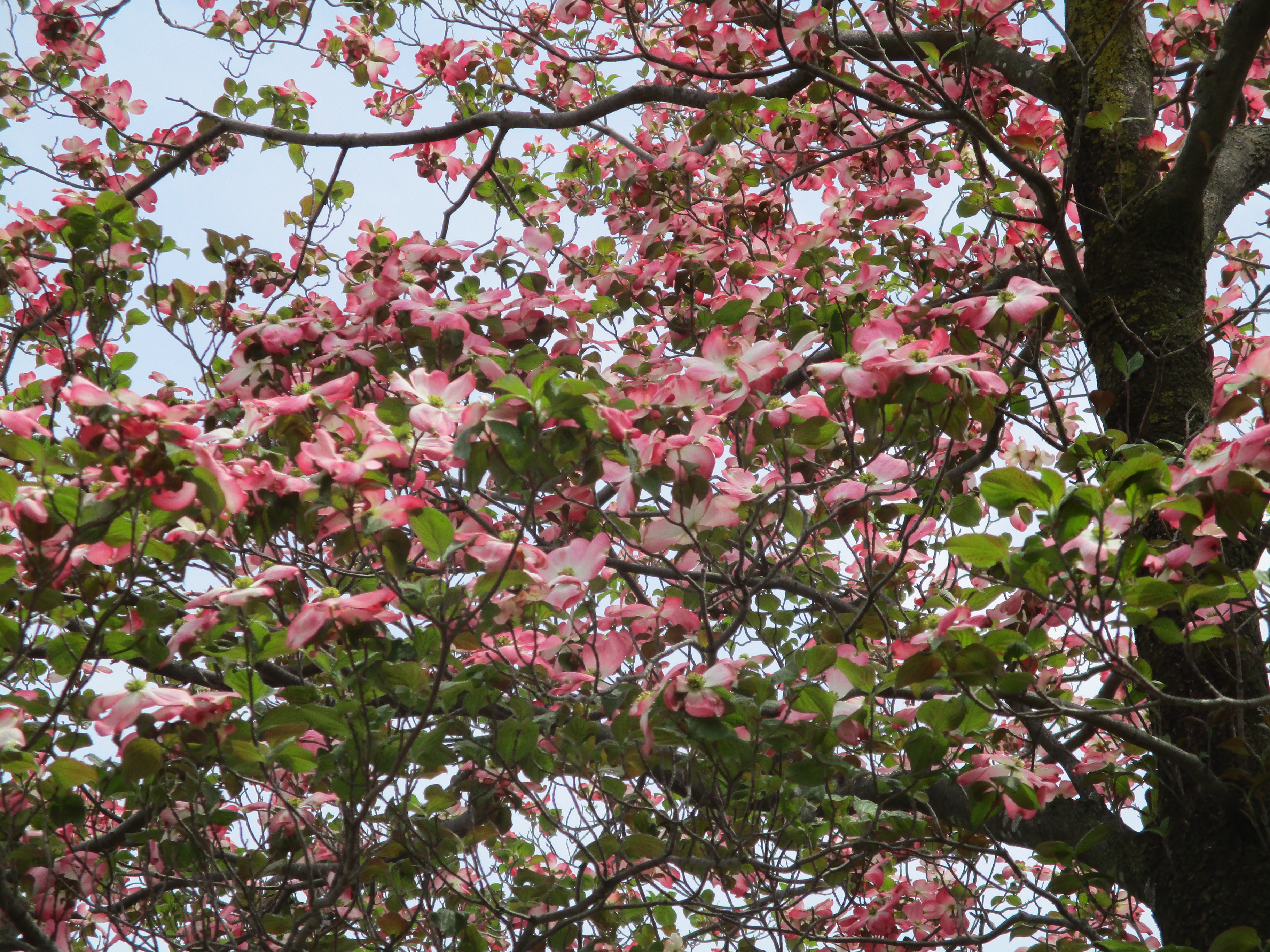 ブログサムネイル