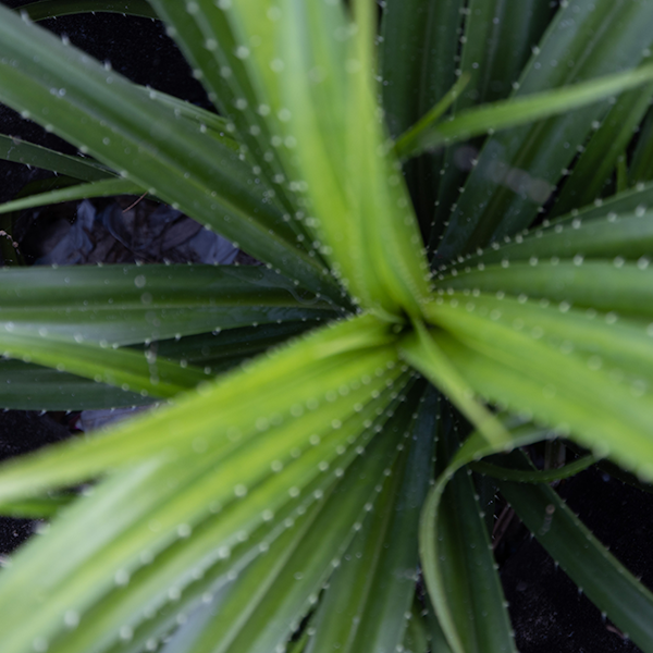 敏感肌向けの人気低刺激シャンプーランキング!選び方から洗い方まで徹底解説