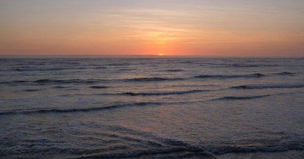 futu..のInstagramを開設しました!