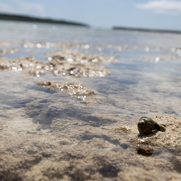 人気無添加シャンプーランキング!選び方や効果などを徹底解説