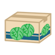 段ボール（キャベツ）
