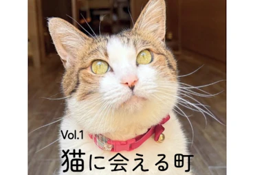 ANAあきんど・日本郵政・長崎県観光連盟共同企画! 猫に会える町 にゃがさき(長崎)に来て欲しいにゃん!ホテルクーポンキャンペーン実施