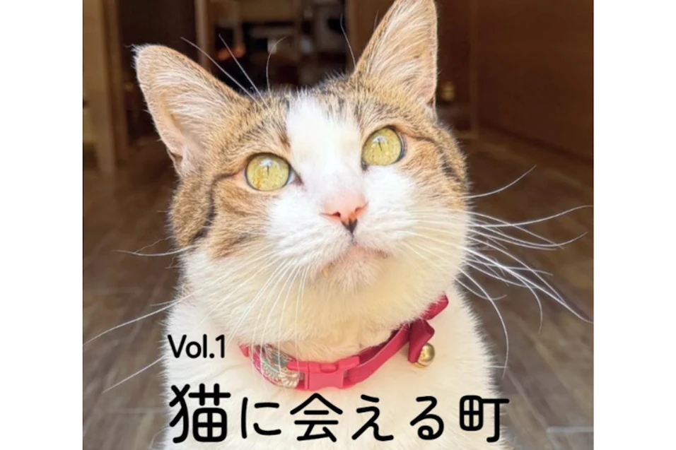 ANAあきんど・日本郵政・長崎県観光連盟共同企画! 猫に会える町 にゃがさき(長崎)に来て欲しいにゃん!ホテルクーポンキャンペーン実施