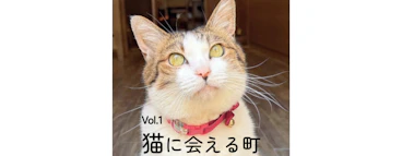 ANAあきんど・日本郵政・長崎県観光連盟共同企画！ 猫に会える町　にゃがさき（長崎）に来て欲しいにゃん！ホテルクーポンキャンペーン実施