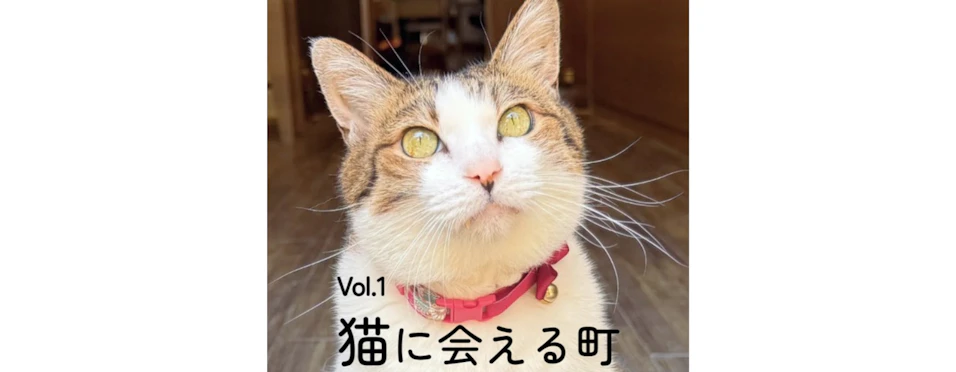 ANAあきんど・日本郵政・長崎県観光連盟共同企画！ 猫に会える町　にゃがさき（長崎）に来て欲しいにゃん！ホテルクーポンキャンペーン実施