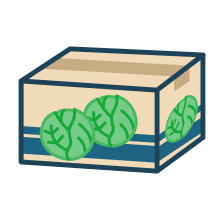 段ボール（キャベツ）
