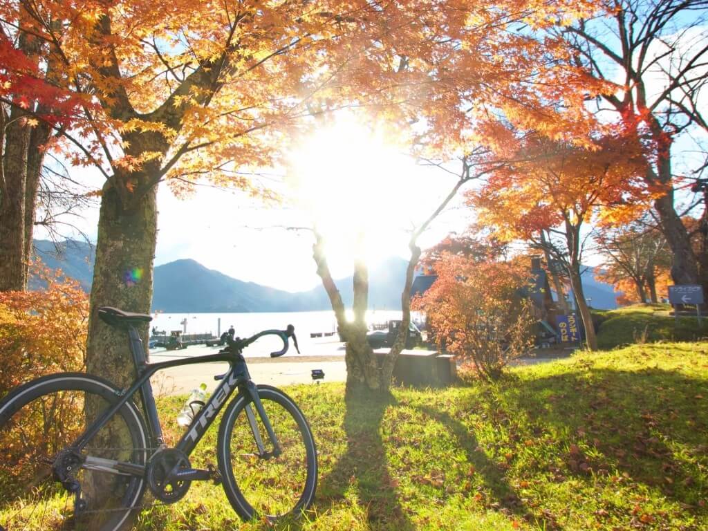 レンタル落ち】自転車散歩～素晴らしきポタリングの世界～ ひかれ