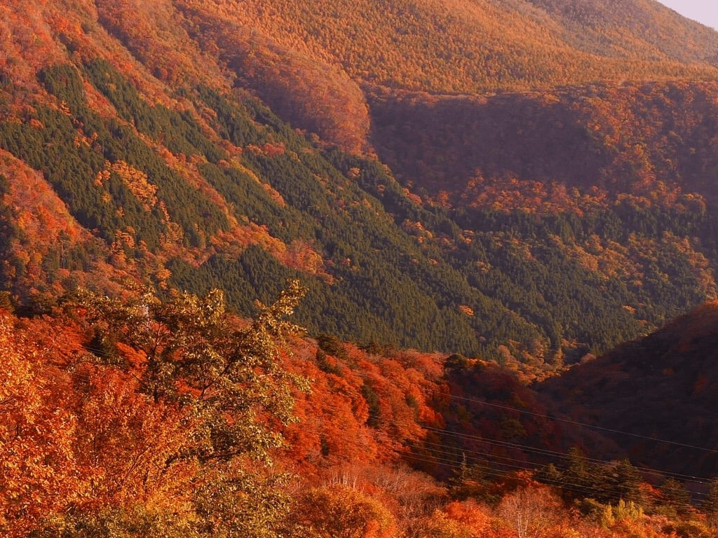 22年 関東の必見紅葉名所36選と見頃 日帰りで行ける絶景 もみじ祭りも Recotrip レコトリップ