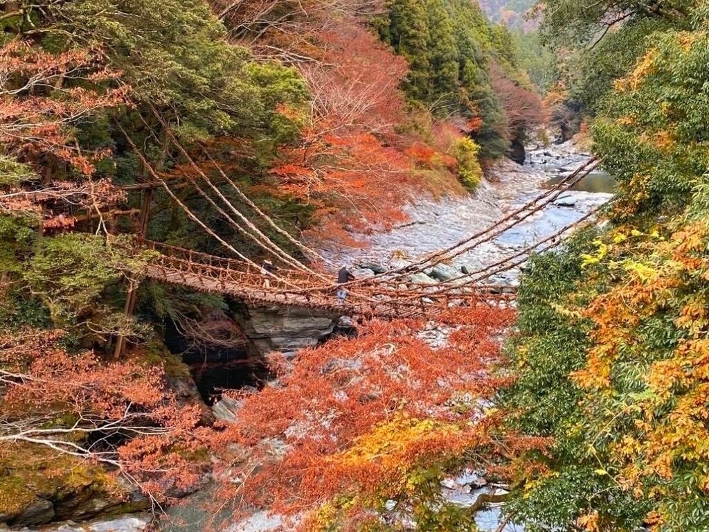 渓谷に架かるつる植物の橋 祖谷のかずら橋 秘境の絶景とスリルを楽しもう Recotrip レコトリップ