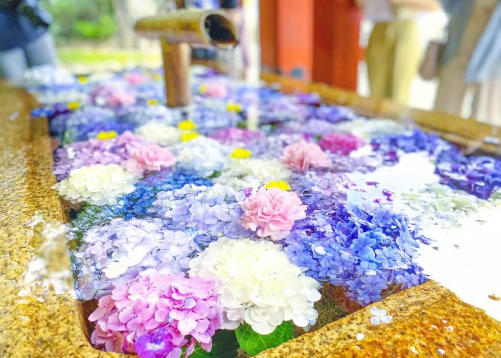 22年 関東の紫陽花 あじさい の名所選 見頃や開花情報も Recotrip レコトリップ 22年 関東の紫陽花 あじさい の名所選 見頃や開花情報も Recotrip レコトリップ